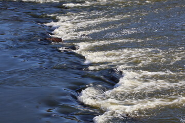Rapids 1