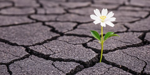 Economic Challenges Unemployment Concepts. A flower blooms through cracked ground, symbolizing resilience.