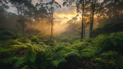Fototapeta premium Misty Rainforest Scene with Dense Green Foliage at Sunrise