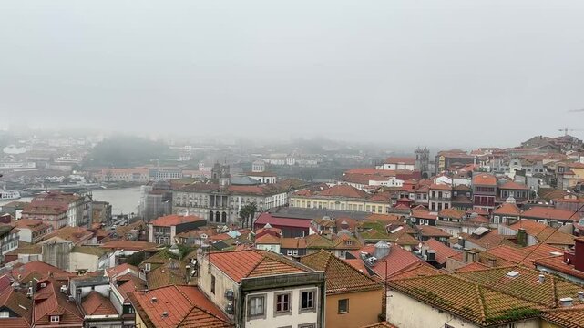 panorama of porto with seagull
