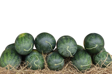 A pile of small, dark green watermelons resting on straw, isolated against a transparent background. Represents fresh produce, summer harvest, and healthy eating.