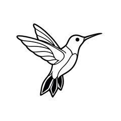 hummingbird on white background