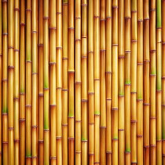 Fototapeta premium Bamboo wood texture Wooden background.