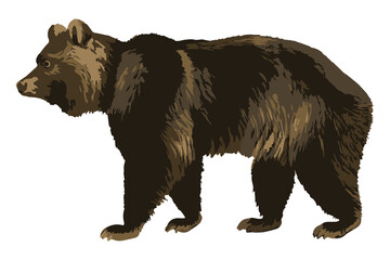 Vectorized grizzly bear sticker overlay design element