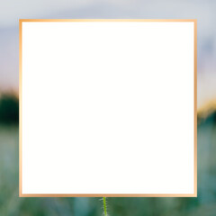 Gold frame on a blurred summer field design element
