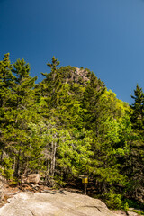 The Beehive Rises Over The Thick Forested Trail Head