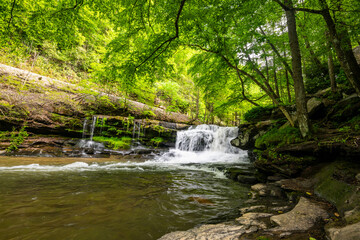 Trees Overhang Dunloup Creek At The Falls