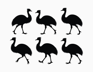 Obraz premium Emu Silhouette EPS Template Isolated Vector Design