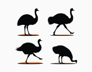 Obraz premium Simple Emu Silhouette Collection Isolated Template
