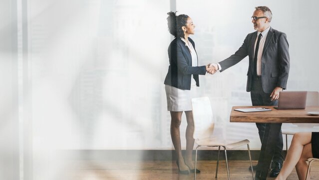 Diverse business peopel having handshake