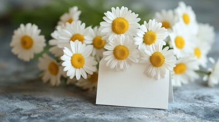 Obraz premium A delicate bouquet of chamomile flowers, their soft white petals unfurling like delicate lace, rests on a pristine white tag, inviting the reader to craft their own message of tranquility and peace.