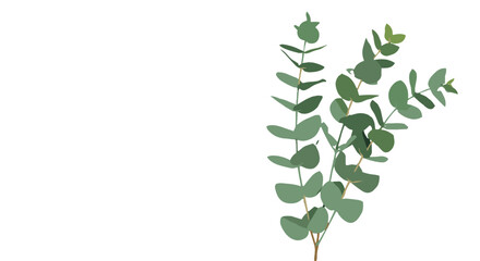 Obraz premium Minimalist eucalyptus branch illustration on a white background 