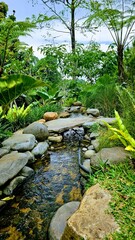 Fern leaf growing among the rocks. Fish pond surrounded with boulders, stones, rocks, pebbles and other decorative items. Relaxing view of outdoor garden. Beautifull landscape.