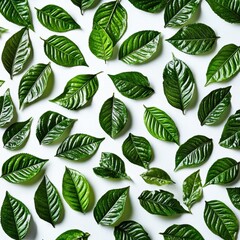A close-up view of vibrant green leaves, showcasing their intricate textures and varying shades, elegantly arranged on a clean white surface, creating a fresh and natural aesthetic.