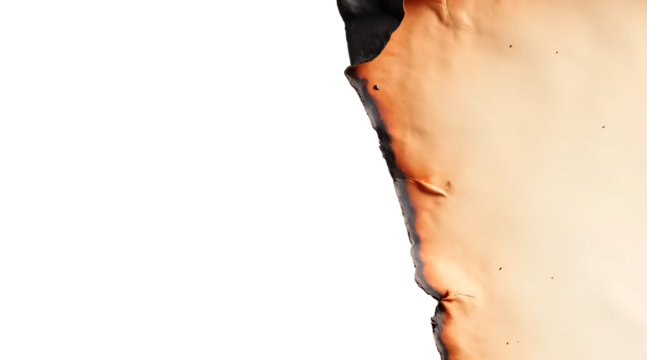 Material for burnt paper synthesis. Roughly burned and torn paper.