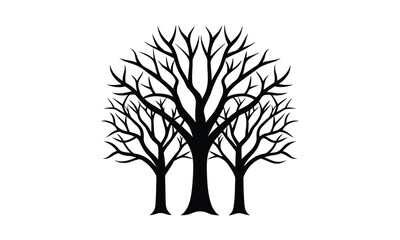 Fototapeta premium Bare Trees Silhouette Winter Pattern