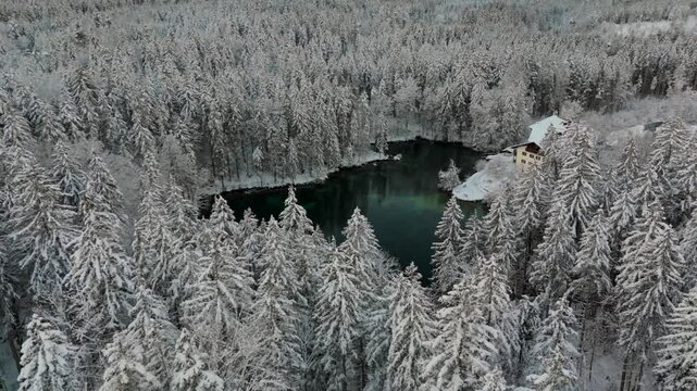 Badersee kleiner Bergsee in Grainau bei Garmisch-Partenkirchen, Deutschland Luftaufnahme im Winter. Mountain lake in Greinau with crystal-clear water of emerald green color, aerial view in winter. 