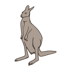 Kangaroo Hand-Drawn Illustration