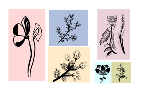 Beautiful flowers illustration collection for use in poster, card, cover, design,etc.