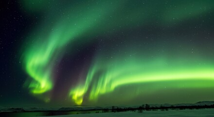 Naklejka premium Majestic Aurora Borealis Illuminating a Winter Landscape Under Starry Sky