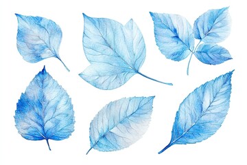 Set of watercolor Frosty Winter Leaves hand drawn on a white background