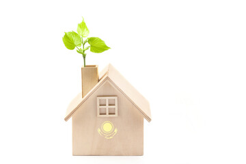 Symbolic wooden house with a fragment of the flag of the Republic of Kazakhstan and a young sprout...