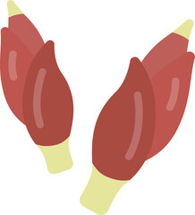 ミョウガのアイコンのイラスト