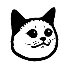 Funny Cat Meme Face