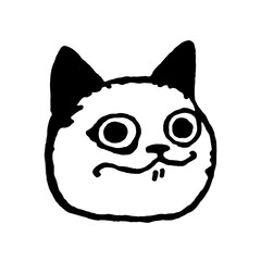 Funny Cat Meme Face