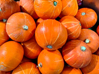 Some fresh and beautiful orange mini pumpkins displayed on a table in a supermarket. 