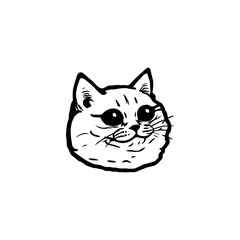 Funny Cat Meme Face