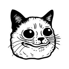 Funny Cat Meme Face