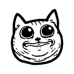 Funny Cat Meme Face