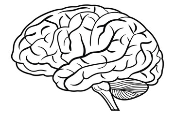 Creative Intelligence A Minimalist Brain Illustration