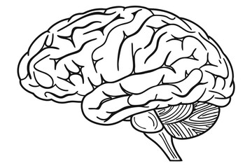 The Thinking Core A Modern Vector Brain