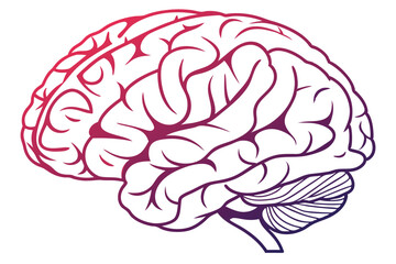 Vibrant Thought A Bold and Colorful Brain Icon