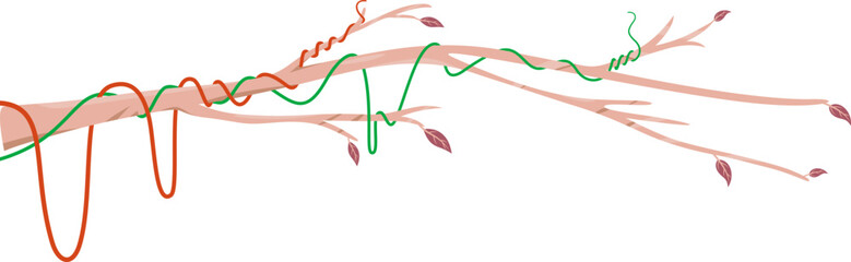 Twisted Branch with Green Vine
