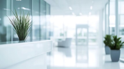 Fototapeta premium Modern Hospital Hallway with Blurred Reception Area for Healthcare Marketing