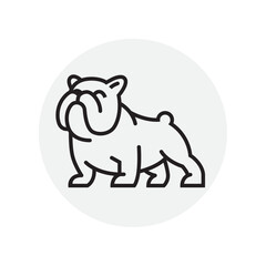 America Bulldog logo vector design template in isolated grey background