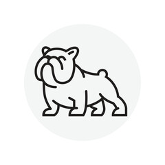 America Bulldog logo vector design template in isolated grey background