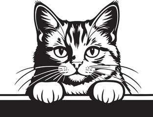 Black and White Cat Peeking Vector Outline