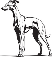 Greyhound Dog Black Vector Outline