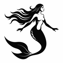a mermaid illustration