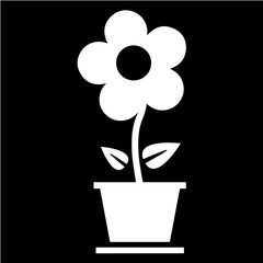 Flower in a pot placed on a black background, with five petals and a round center, featuring a thin stem with two leaves. plant care, self-growing, and indoor gardening.