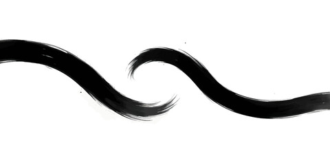 Black wavy brush strokes on white canvas