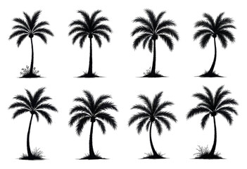 Eight Black Palm Tree Silhouettes on White