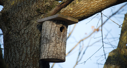 A charming, handmade wooden birdhouse is mounted on a sturdy tree, providing a home for birds.