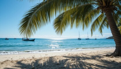 Serene Beach Scene Palm Tree Shadows on Pristine Shoreline