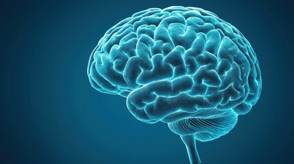 Detailed Digital Brain Illustration with Blue Background