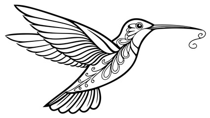 Fototapeta premium Elegant Hummingbird Line Art Outline drawing vector illustration isolated on transparent background outline images for kids